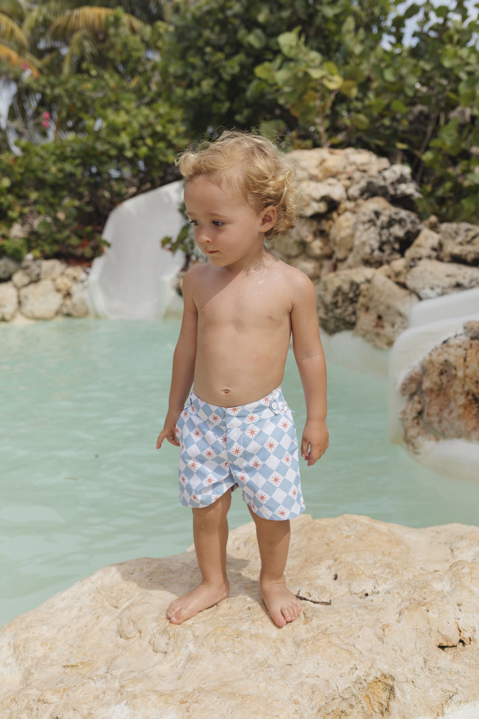 David - Lacouture Petit