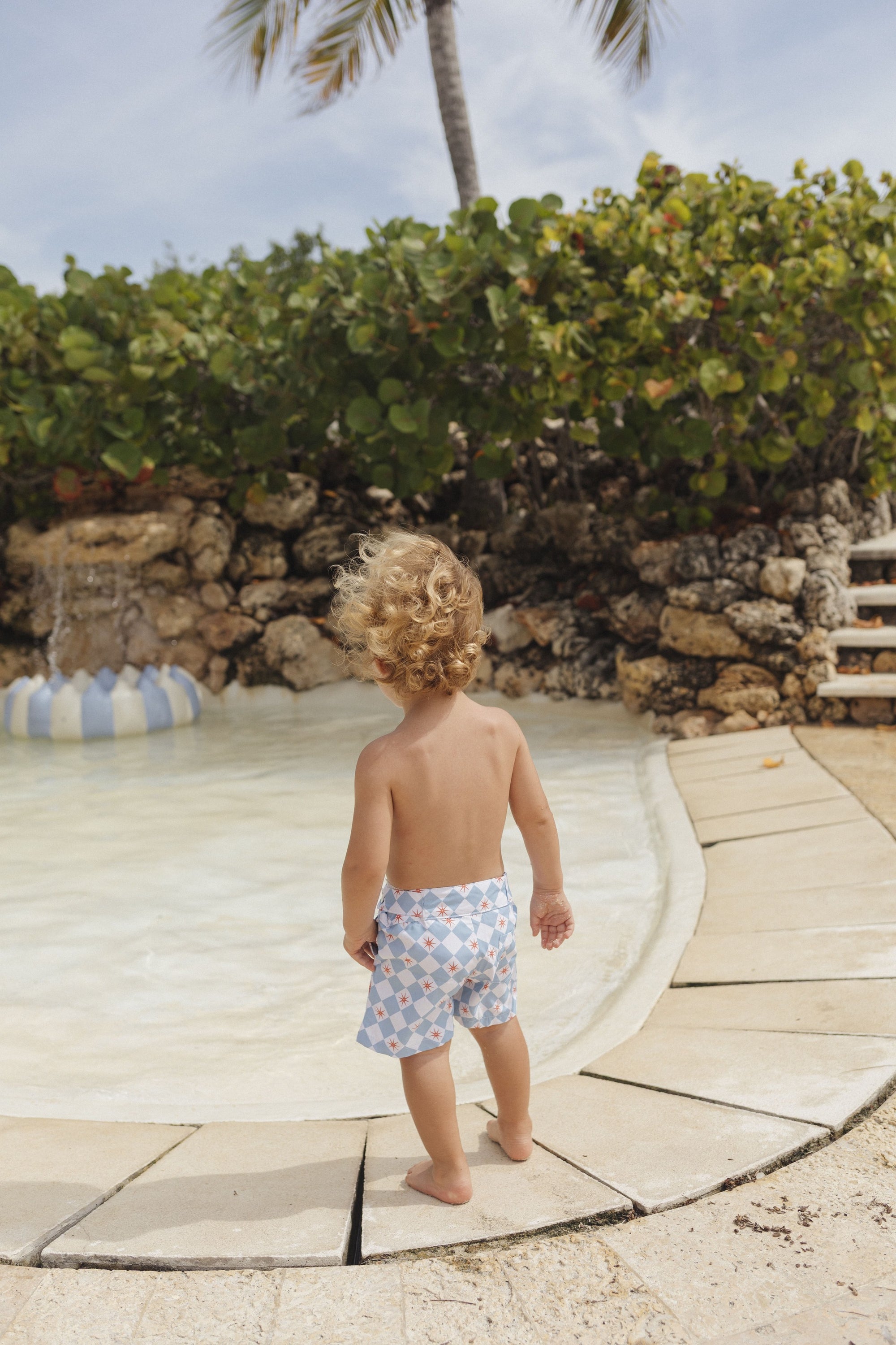 David - Lacouture Petit